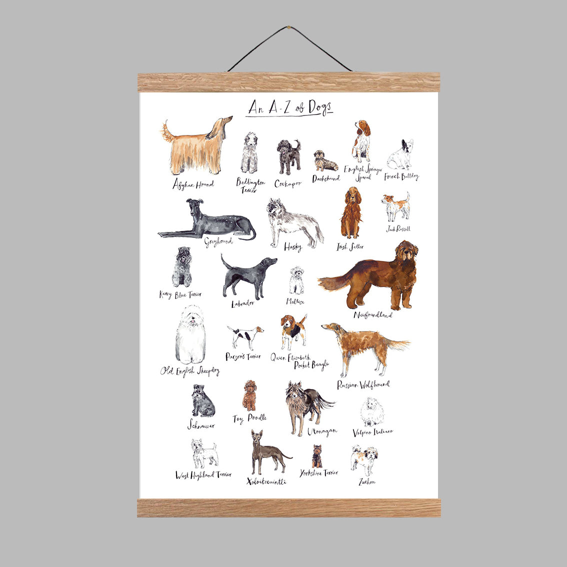 A3 A to Z of Dogs Art Print