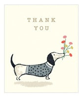 Pack Of 12 Mini Sausage Dog Thank You Cards