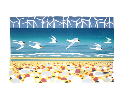 Carry Akroyd - Big Turns & Little Terns Blank Card