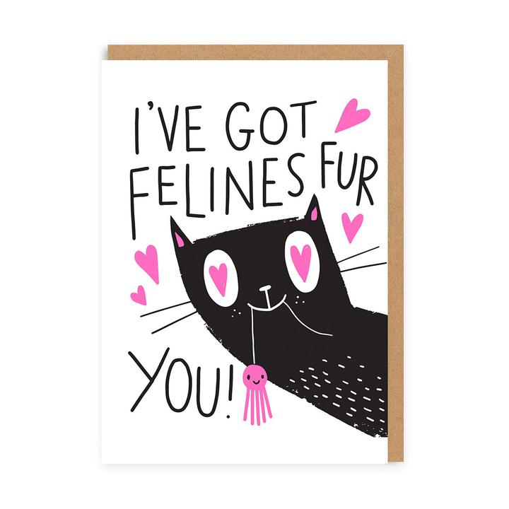 I've Got Felines Fur You Valentine Card