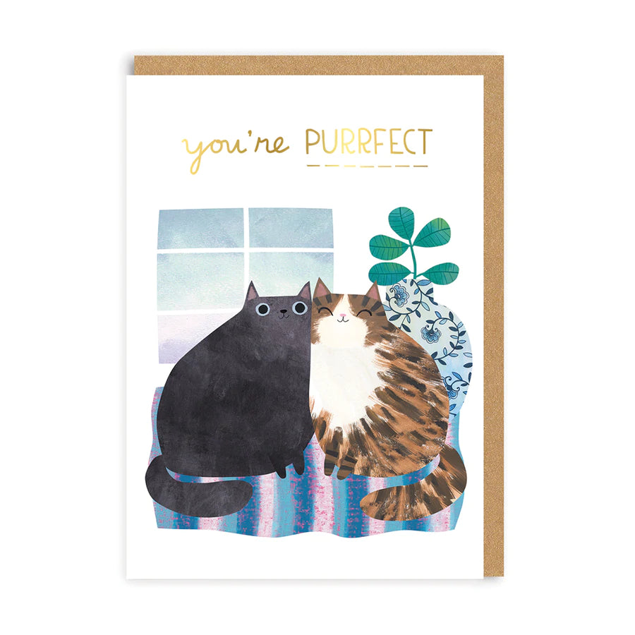 Cats Anniversary Card