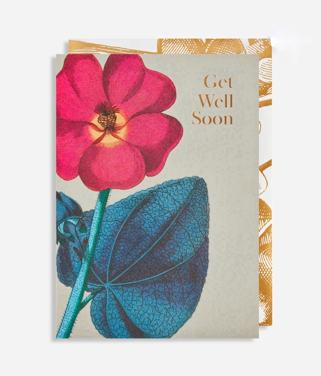 Get Well Soon Card with Kew Garden Inspired Flower Illustration