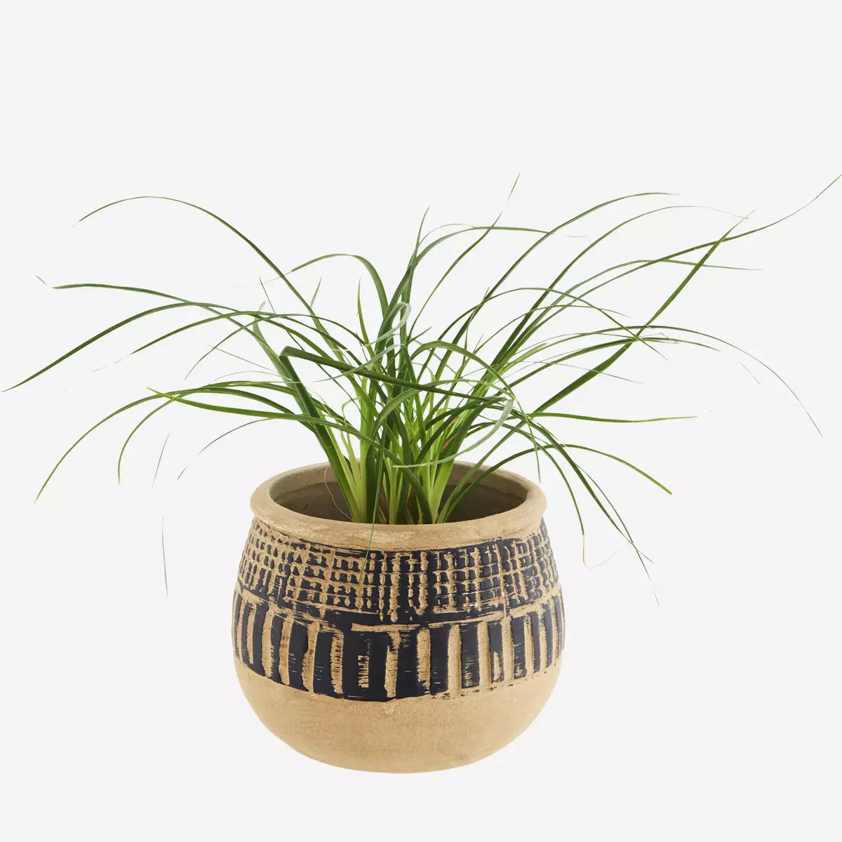 Small Ecru & Black Etched Plant Pot