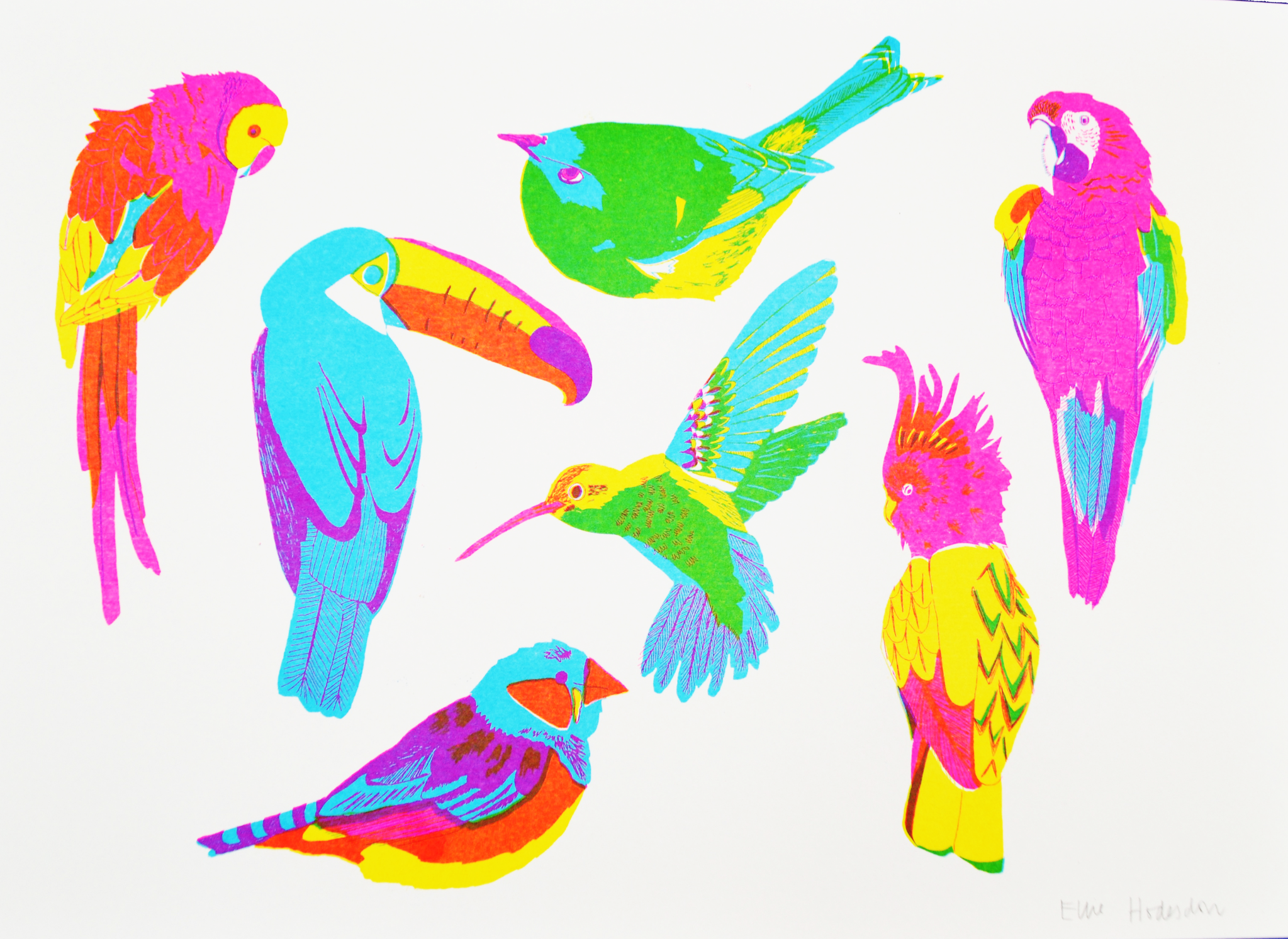 Tropical Birds Risograph Art Print