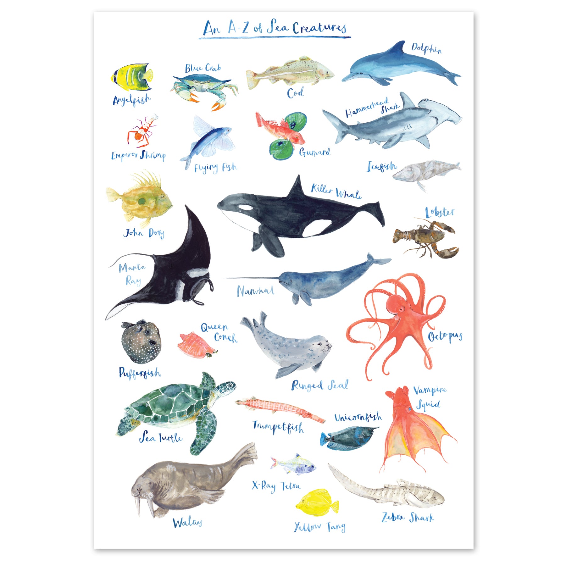 A4 A to Z of Sea Creatures Art Print