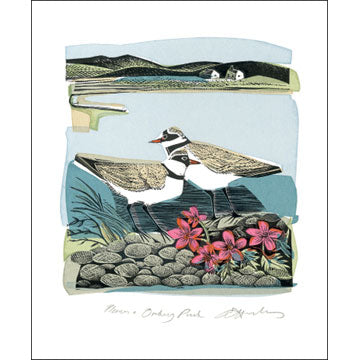 Angela Harding - Plovers & Orkney Pinks Blank Card