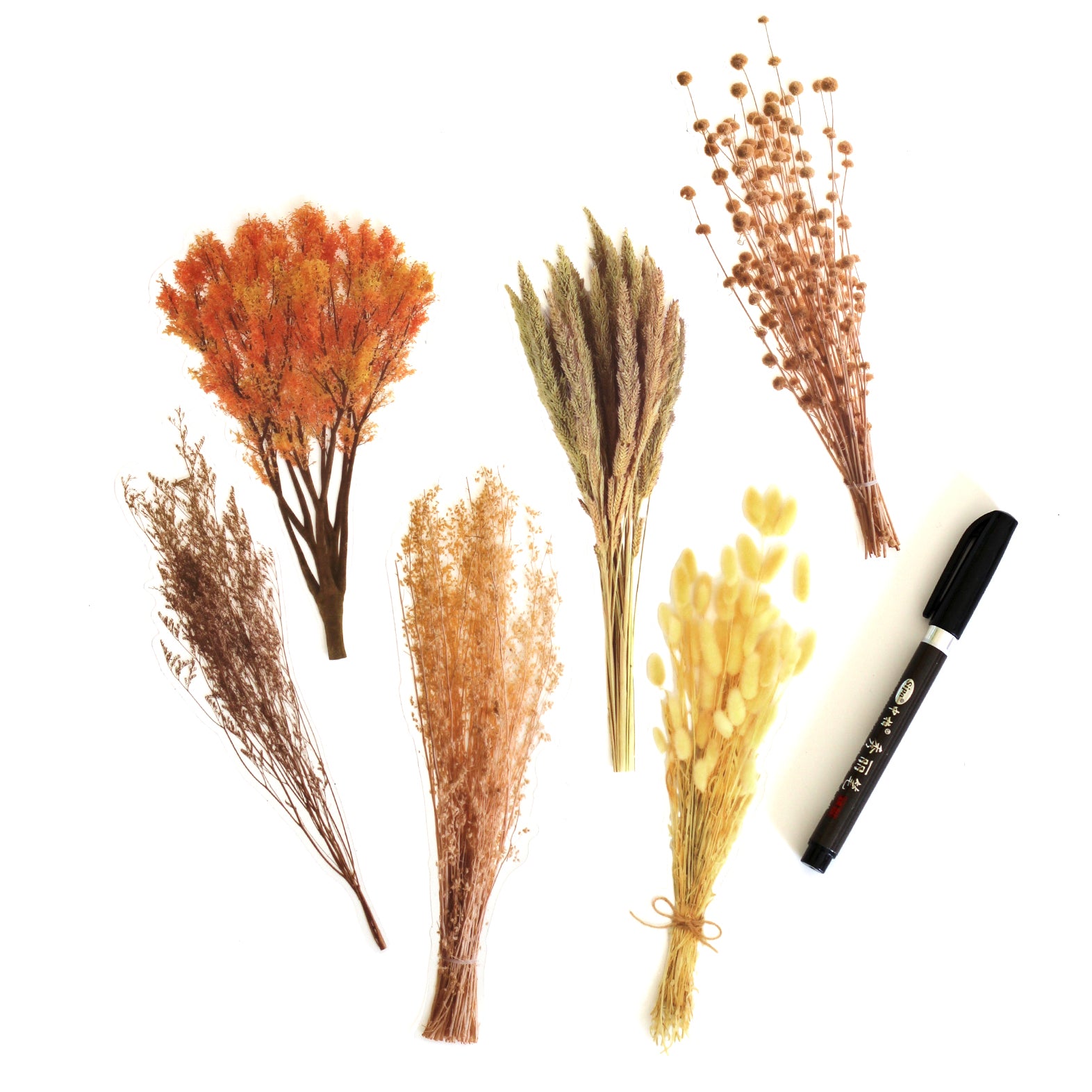 Pack Of 6 Dried Flower Stickers