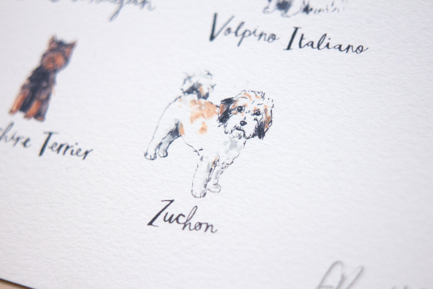 A4 A to Z of Dogs Art Print