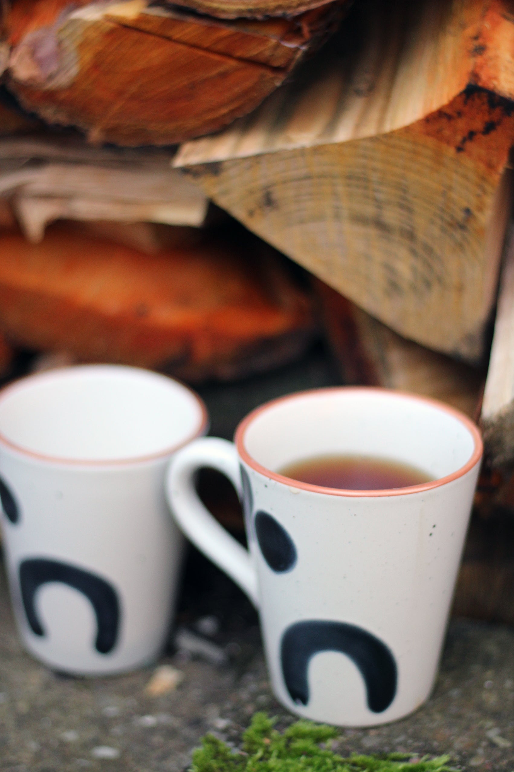 Bridge Masked Mug