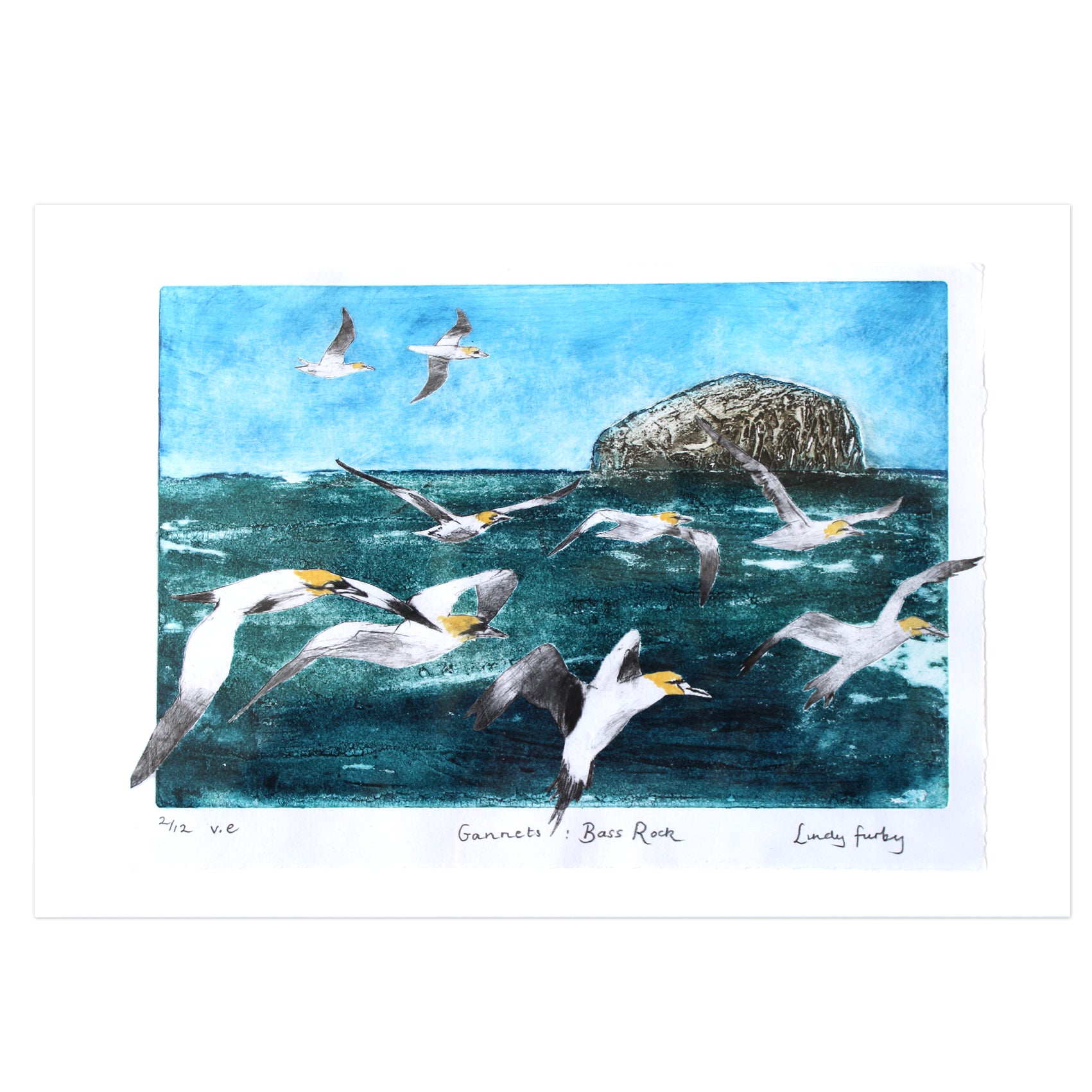 Gannets : Bass Rock Collagraph Print
