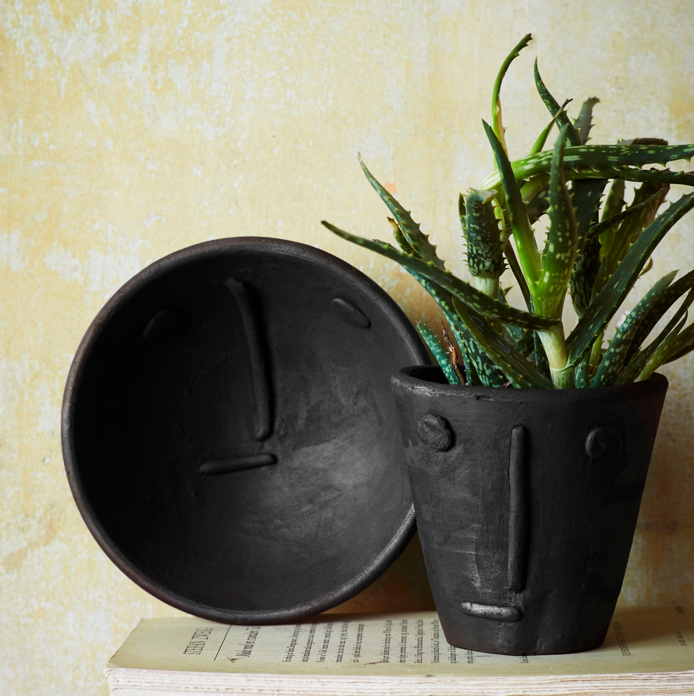 Black Plant Pot With Face Design