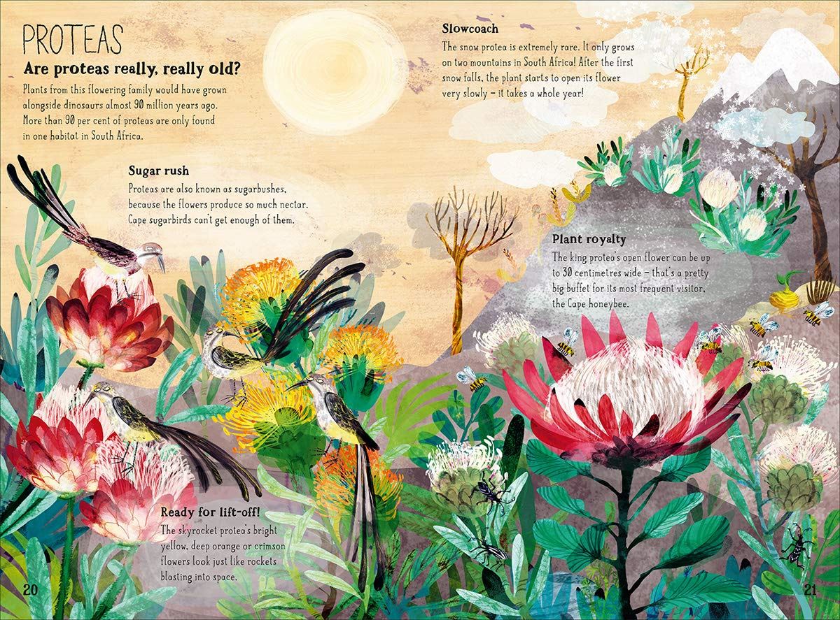 The Big Book Of Blooms