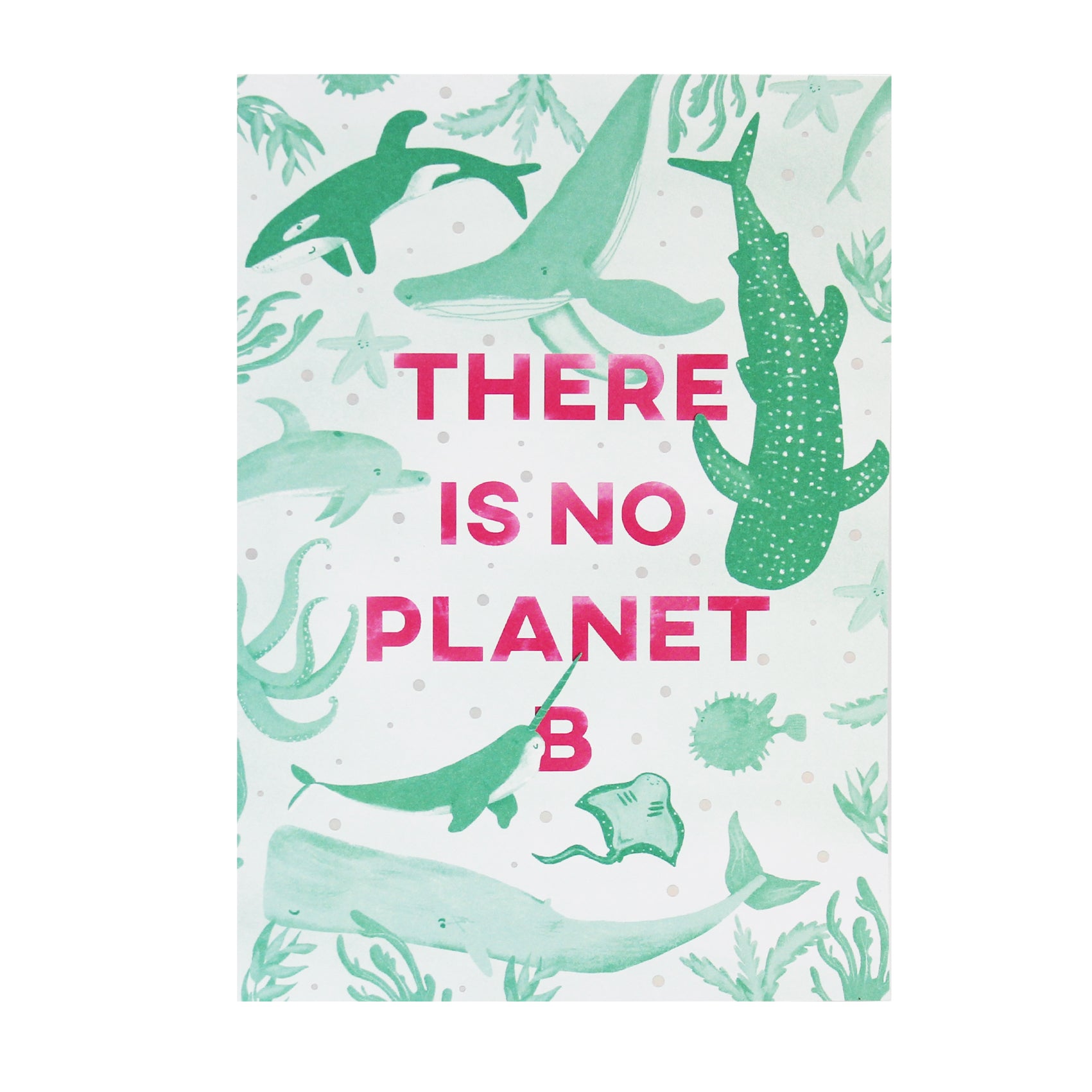 A5 There Is No Planet B Art Print