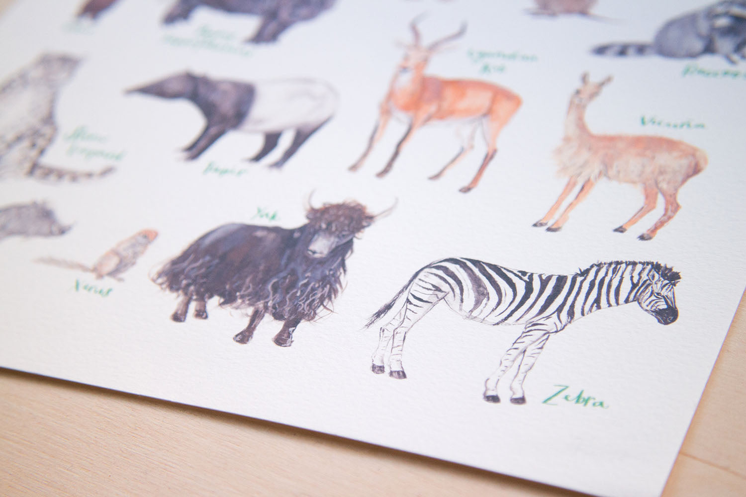 A4 A to Z of Wild Animals Art Print